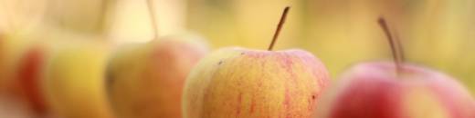 Obstparade