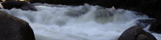 Wildwassertraum