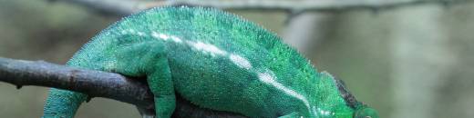 IMG_8585