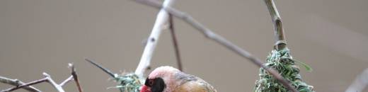 IMG_8600