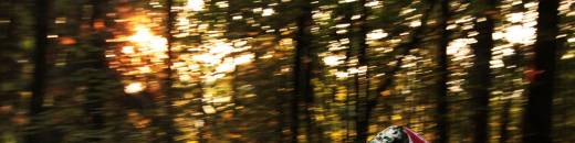 Hometrail