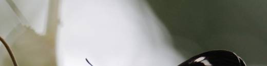 Warten auf den Frühling
